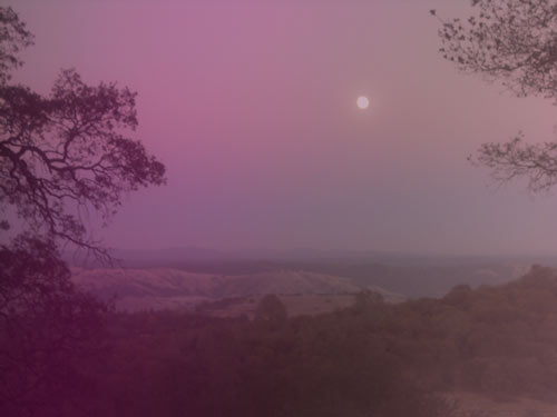 Golden brown foothills in the distance framed by oak woodlands nearer to the house.