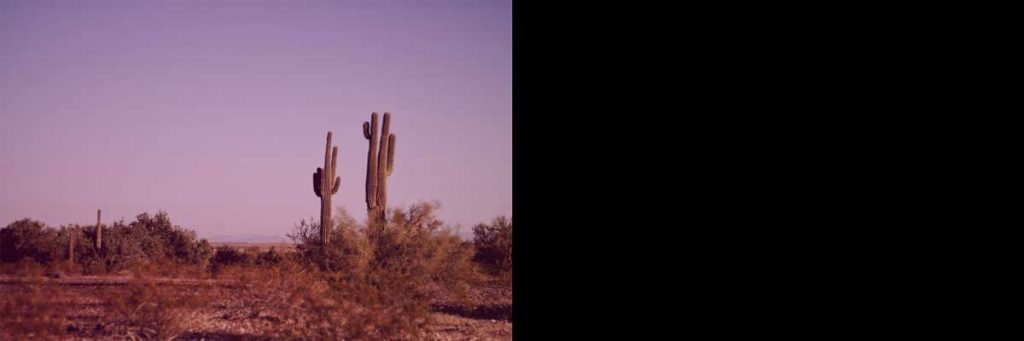 An image split into two sections. On the left: Arizona desert with cacti. On the right: a black rectangle.